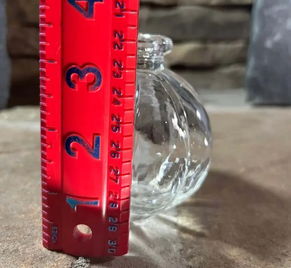 Pumpkin Watering Jar or Bud vase clear 3.5”